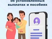 Как получить выписку об установленных выплатах и пособиях